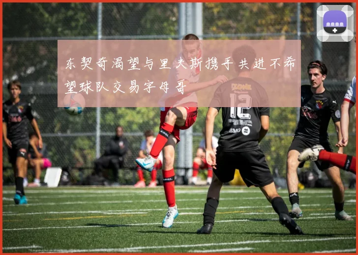 东契奇渴望与里夫斯携手共进不希望球队交易字母哥